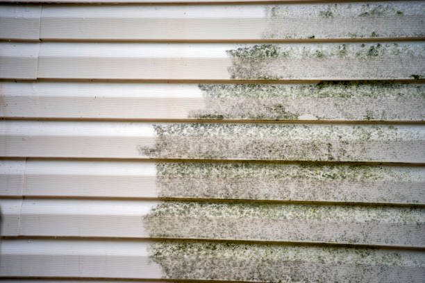 How To Choose The Right Materials for Your Siding Installation in 'Bellevue, WA